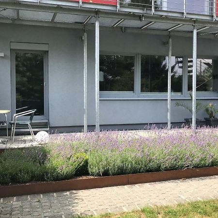 Wander- Und Aktivchalet Birkenfeld  Bagian luar foto