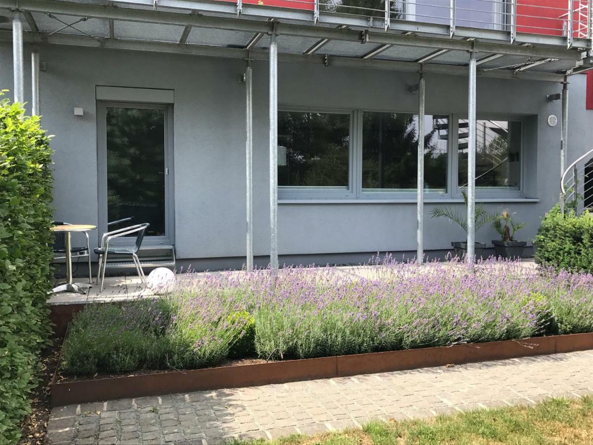 Wander- Und Aktivchalet Birkenfeld  Bagian luar foto